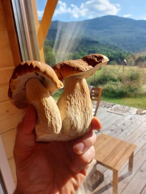 Panorama Sucha Gora ,Lesny Domek Skawica  Luaran gambar