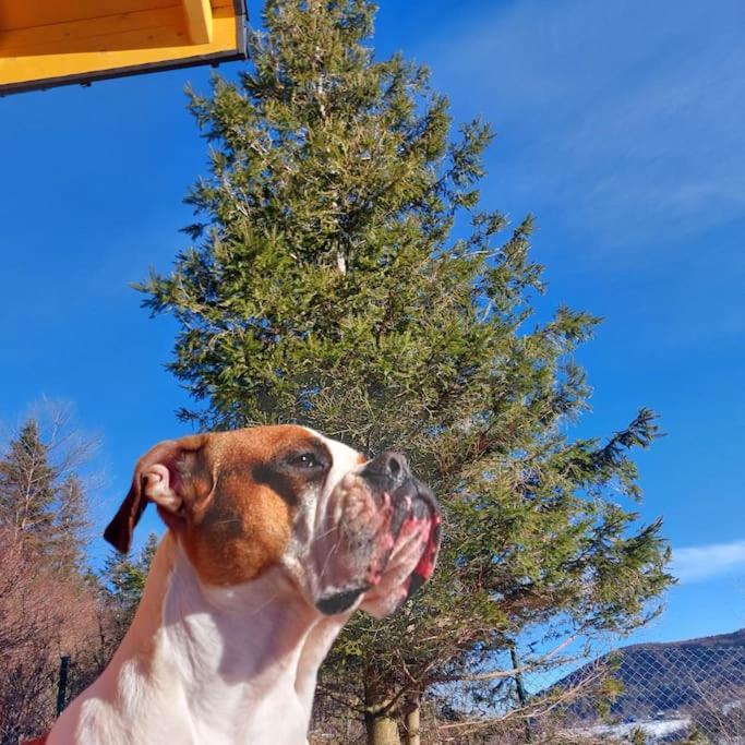 Panorama Sucha Gora ,Lesny Domek Skawica  Luaran gambar